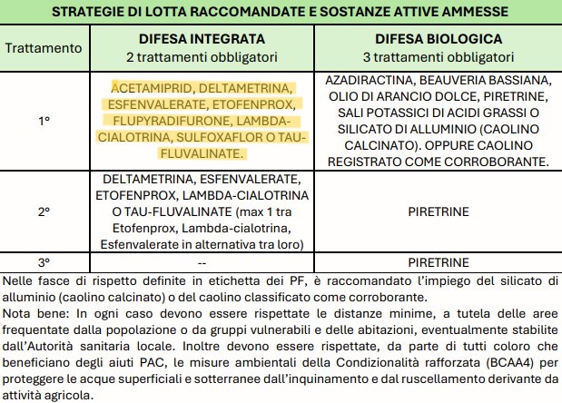 MISURE DI LOTTA OBBLIGATORIA CONTRO LA FLAVESCENZA DORATA - 05 GIUGNO 2025 - 4 MISURE DI LOTTA OBBLIGATORIA CONTRO LA FLAVESCENZA DORATA - 05 GIUGNO 2025 - 3