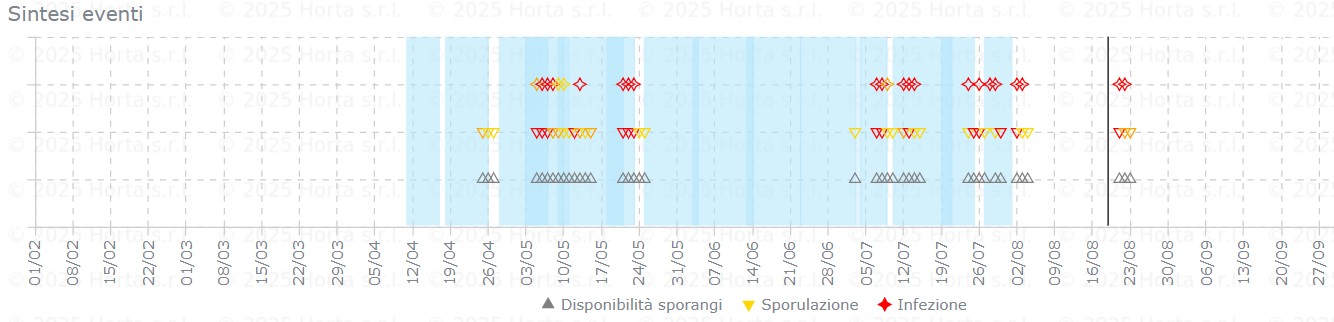 BOLLETTINO FITOSANITARIO VITE: 19 AGOSTO 2025 - 5