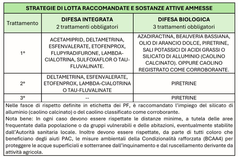 MISURE DI LOTTA OBBLIGATORIA CONTRO LA FLAVESCENZA DORATA - 30 MAGGIO 2025 - 6 MISURE DI LOTTA OBBLIGATORIA CONTRO LA FLAVESCENZA DORATA - 30 MAGGIO 2025 - 5