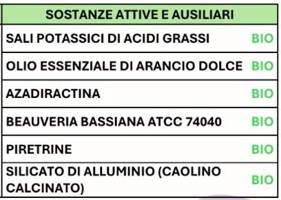 MISURE DI LOTTA OBBLIGATORIA CONTRO LA FLAVESCENZA DORATA - 30 MAGGIO 2025 - 4 MISURE DI LOTTA OBBLIGATORIA CONTRO LA FLAVESCENZA DORATA - 30 MAGGIO 2025 - 3