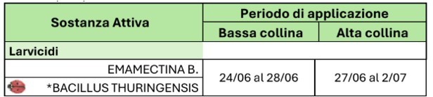 BOLLETTINO FITOSANITARIO VITE: 23 GIUGNO 2026 - 19