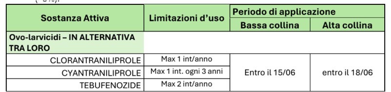 BOLLETTINO FITOSANITARIO VITE: 16 GIUGNO 2026 - 19